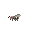 bee_1