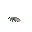 bee_2