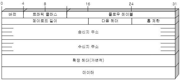 IPv6패킷 포맷