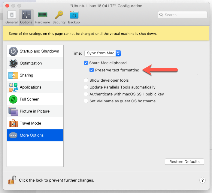 mircrosofts plain text editor mircrosofts plain text editor