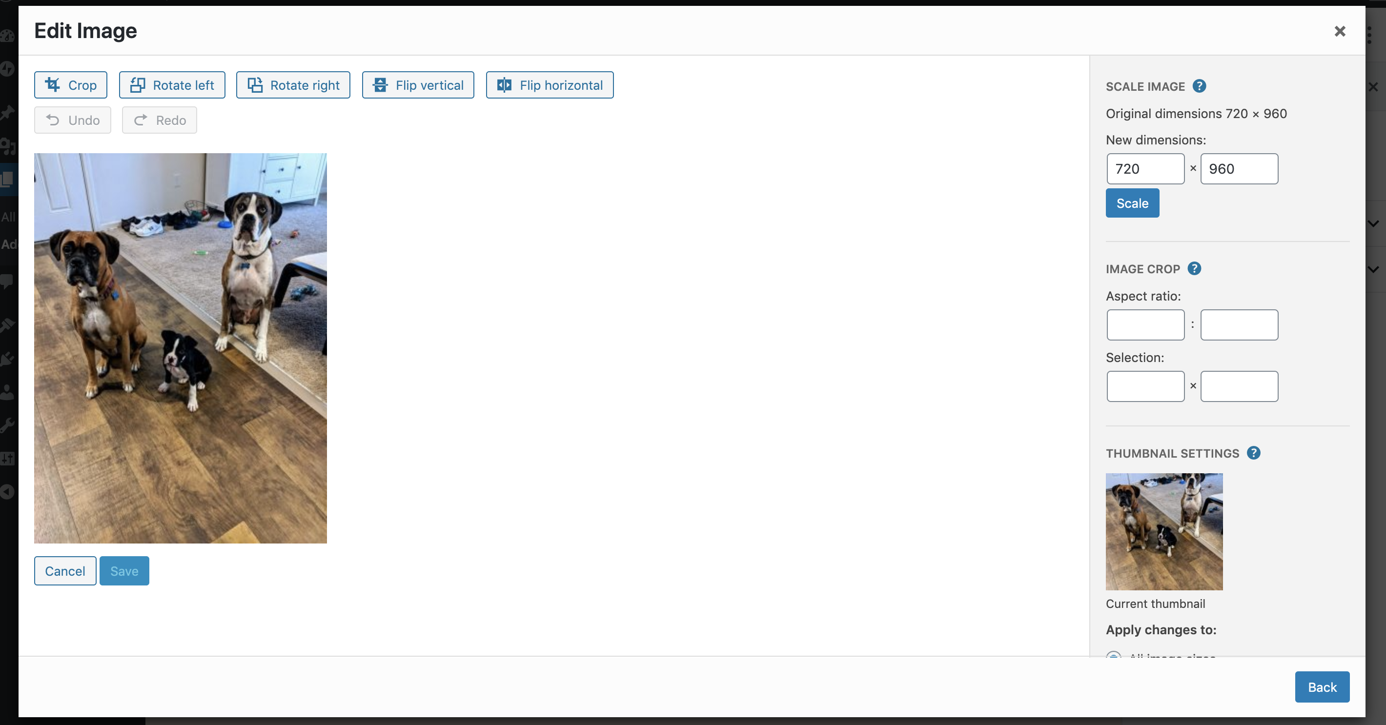 Screen Shot 2019-12-16 at 8 01 43 AM