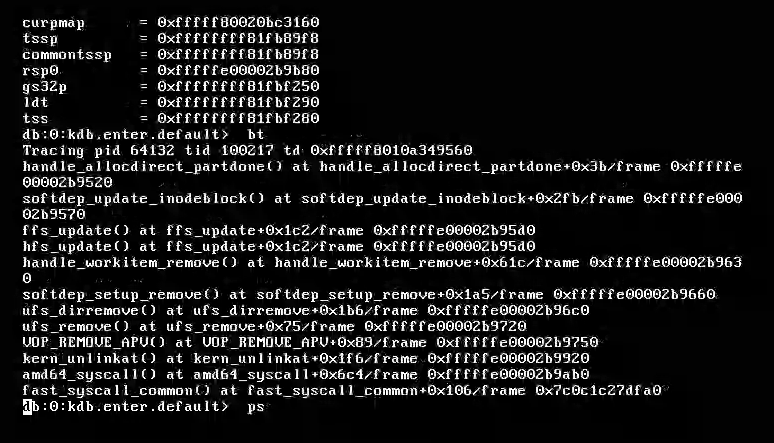 hbsd_wireguard_ufscrash