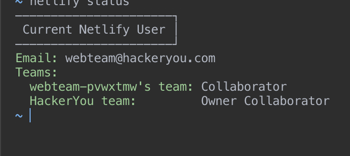 Netlify Dev is not showing live reload + or enough information after ...