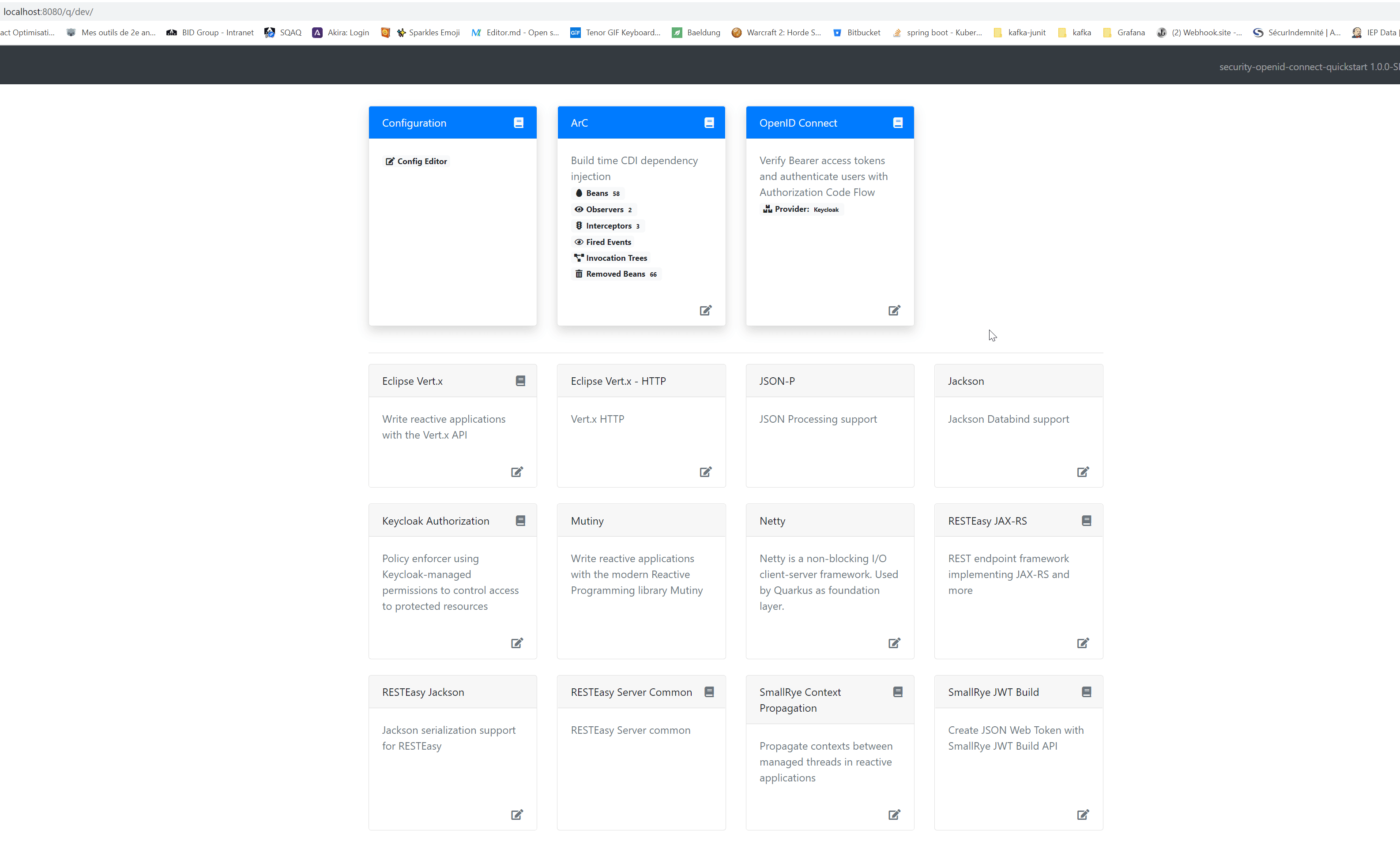 openid-dev-ui