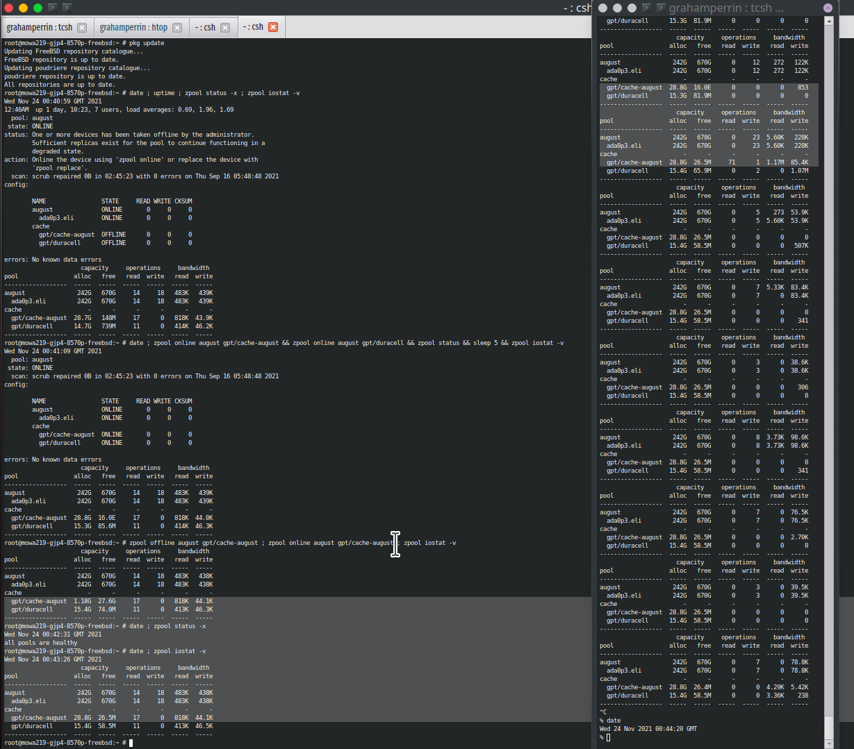 zpooliostat(8) and zpoollist(8) unreasonably/impossibly high alloc