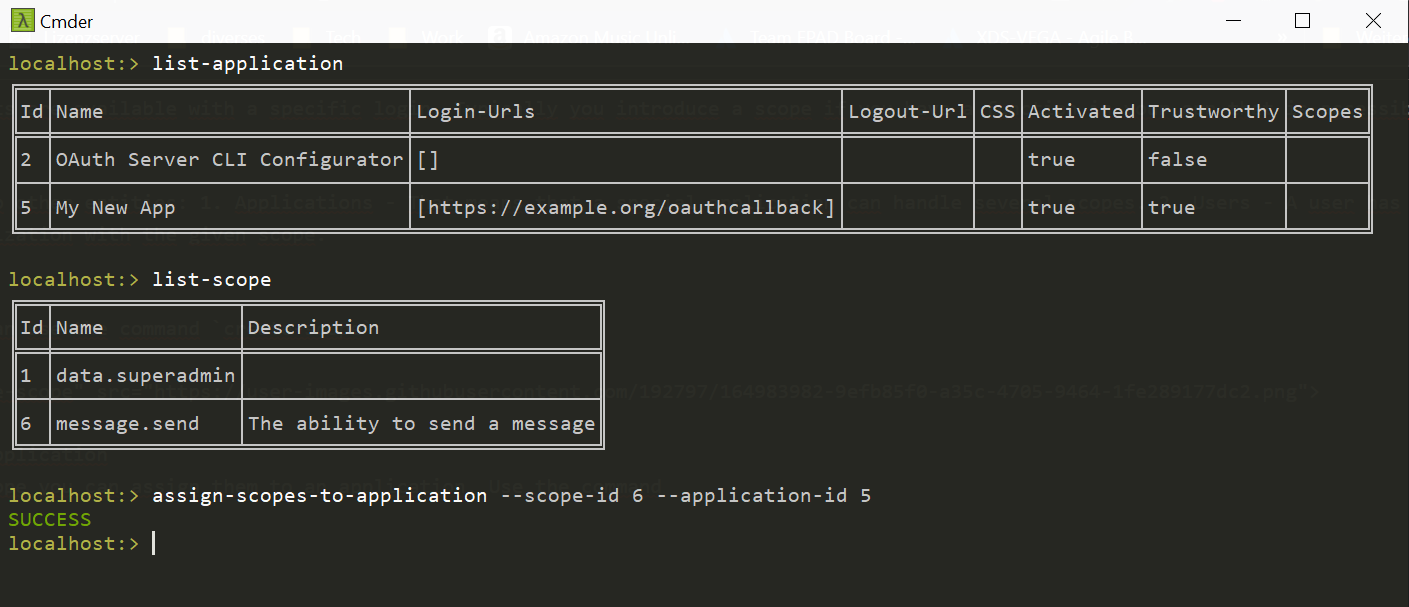 assign_scope_to_app