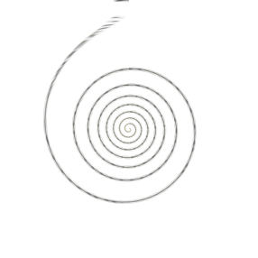 spiral_oute_03