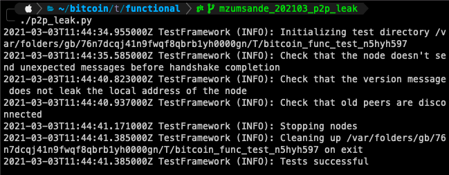 Screen Shot 2021-03-03 at 08 44 53