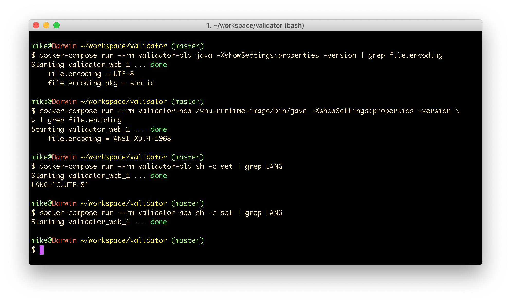 Change to binary runtime image breaks CLI usage via docker · Issue #809 ...