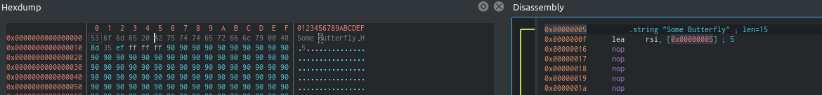 String displayed with wrong offset · Issue #1725 · rizinorg/rizin · GitHub