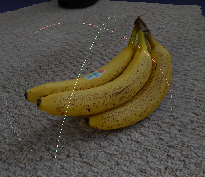 dataset_banana Everyone loves bananas