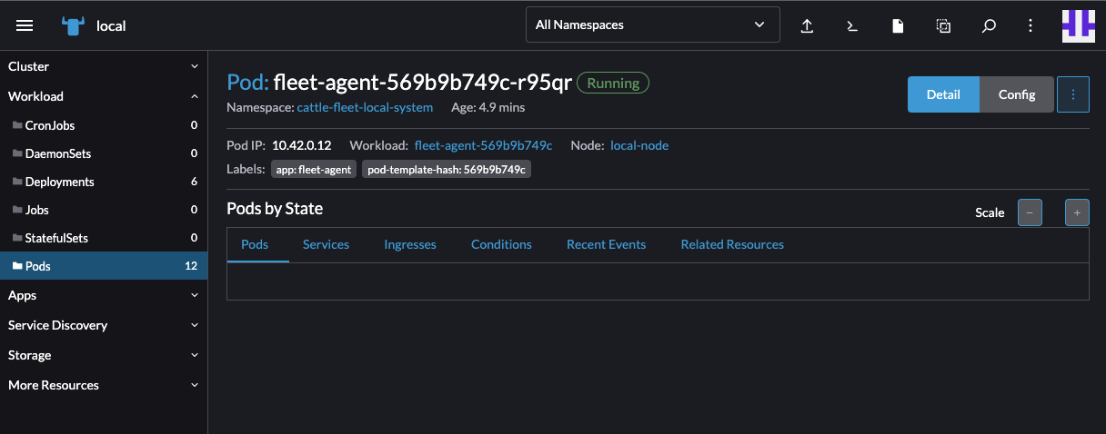 Pod detail view is broken · Issue #7027 · rancher/dashboard · GitHub