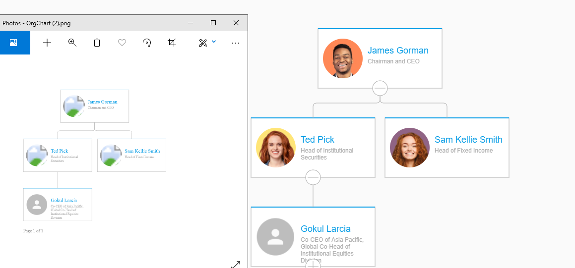 Export org chart image not updated · Issue #555 · BALKANGraph ...