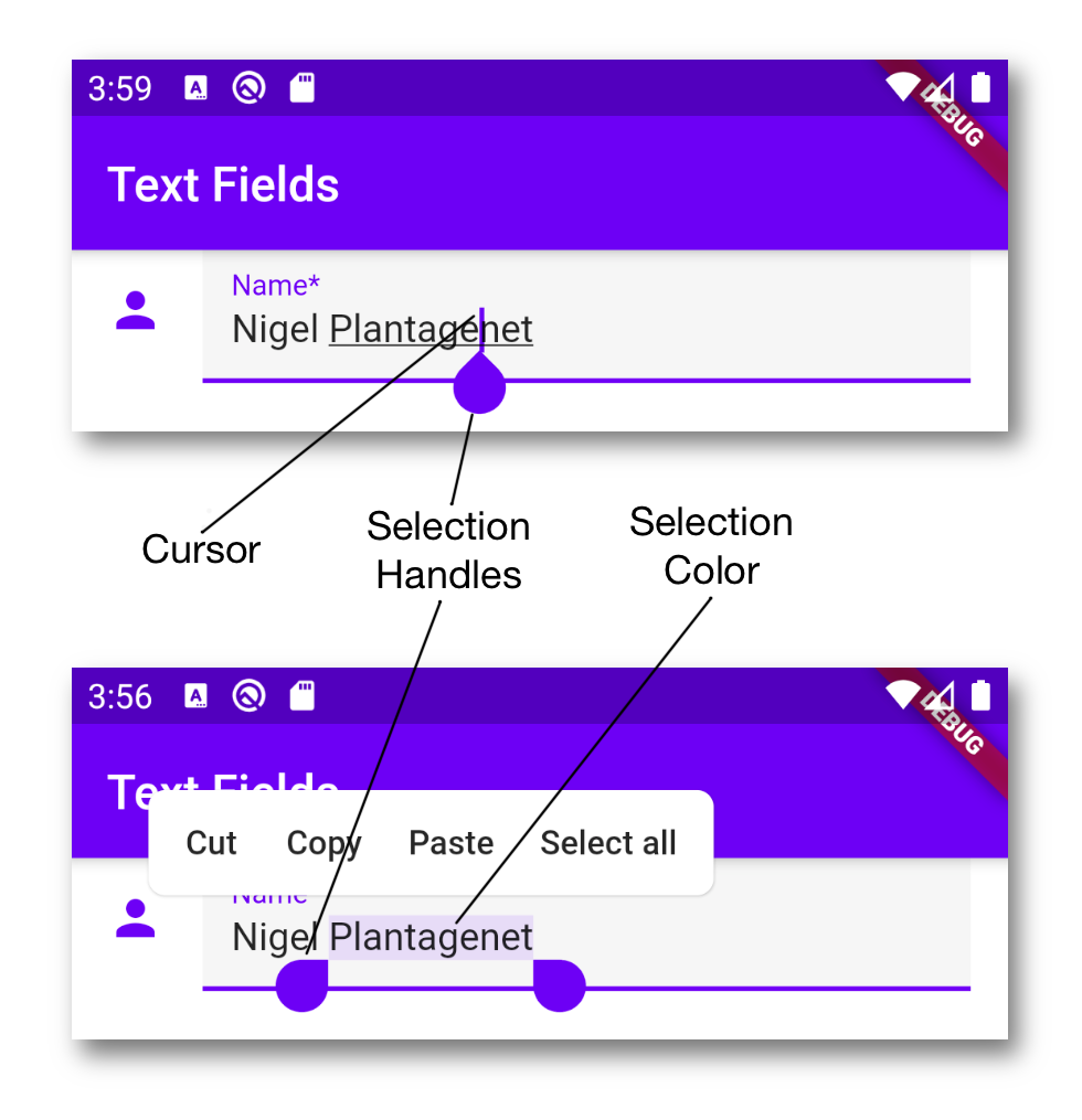 TextSelectionTheme