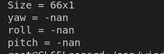 whenet model converted from onnx to ncnn gives nan output. · Issue ...