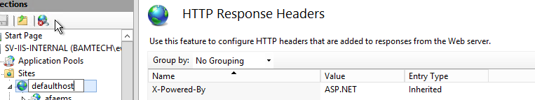 iis site headers