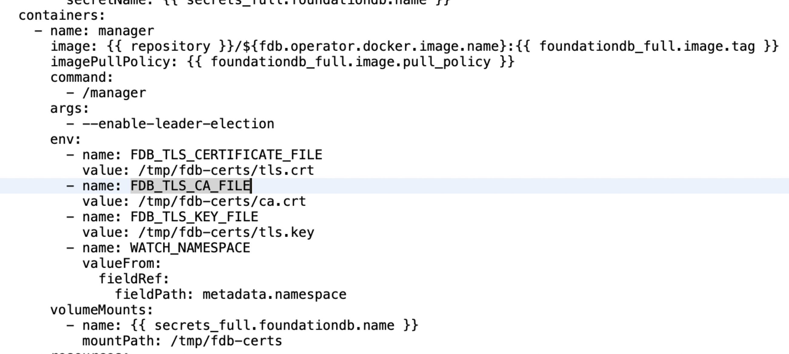 FoundationDB pods doesn't start with TLS enabled · Issue 709