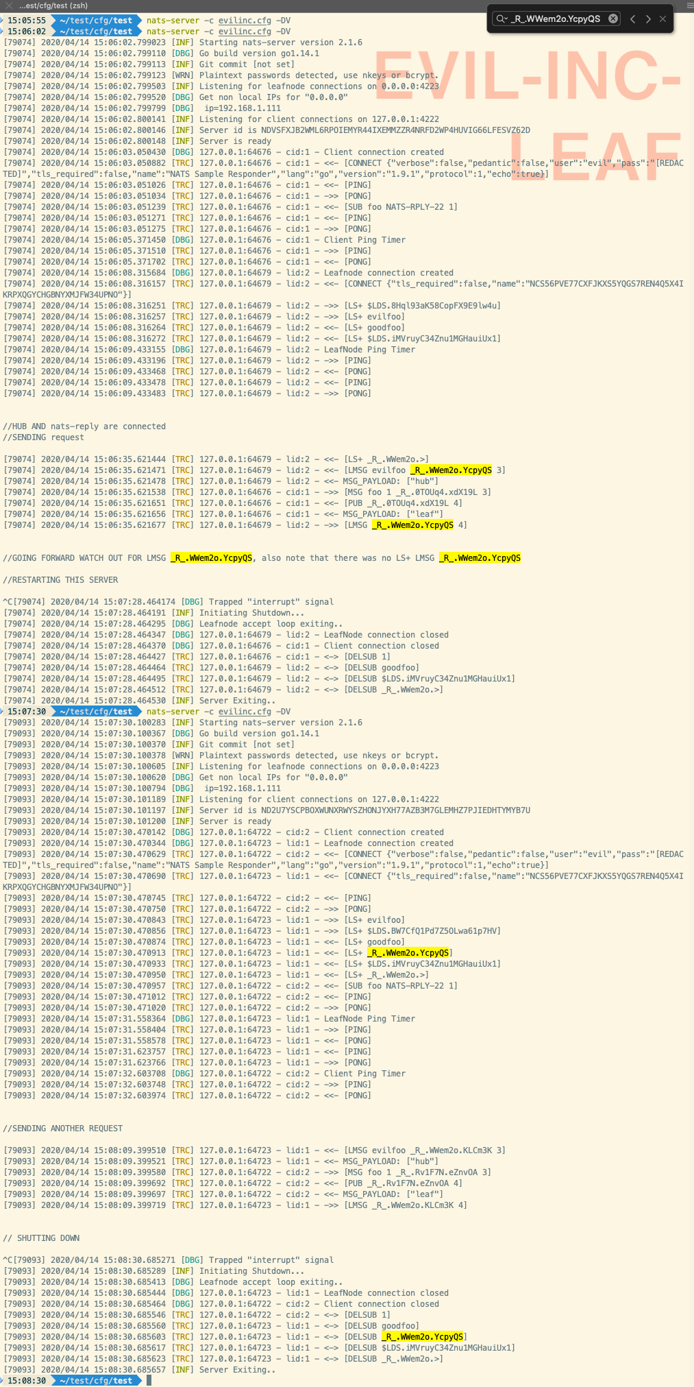 extra non wildcard response subscription sent on leaf node restart ...