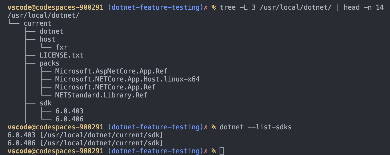 New feature installs two versions