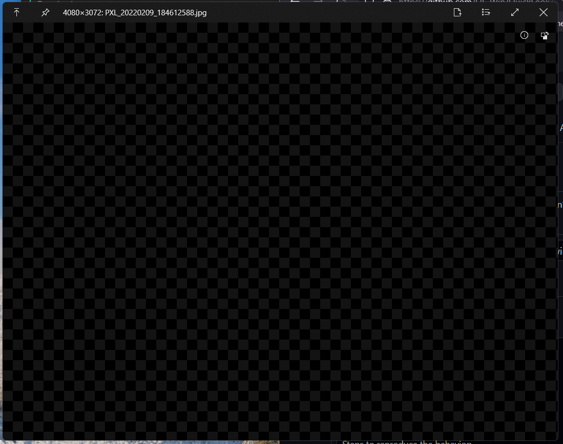 Image Preview fails when filename has a zero-width space · Issue #1094 ...