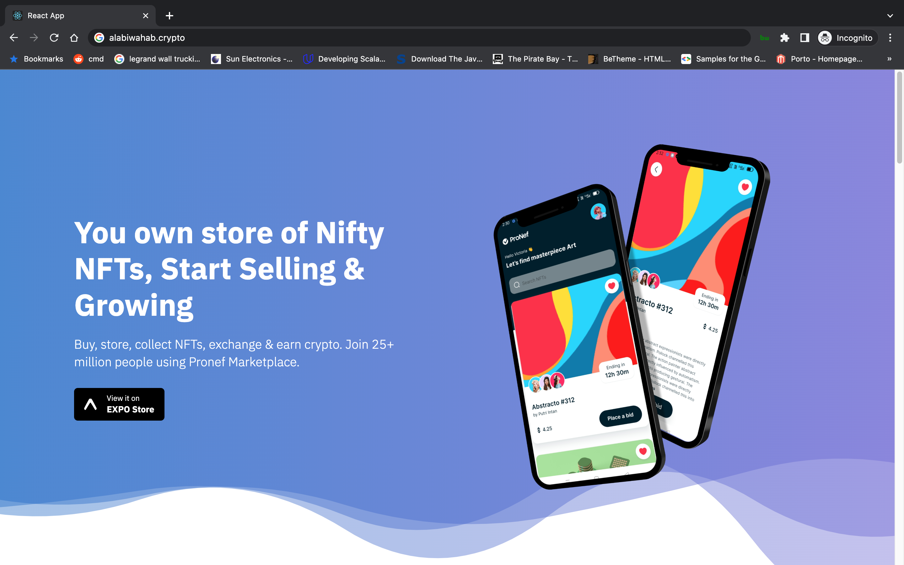 portfolio