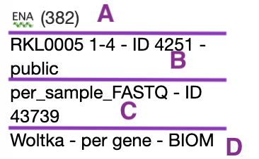 Screen Shot 2020-11-24 at 1 25 07 PM