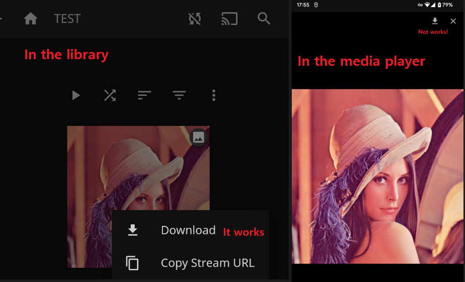 Can t Download Picture In Viewer Issue 604 Jellyfin jellyfin 