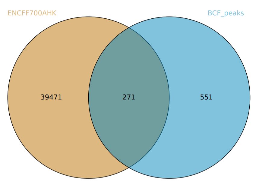 GitHub - konovalowo/hse_hw2_chip · GitHub