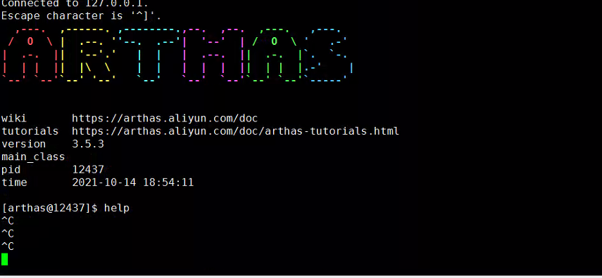 能进入arthas但是任何命令都无效果 · Issue #2005 · alibaba/arthas · GitHub