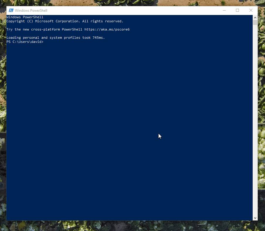 Markdown Preview links to local files are broken unless they are ...