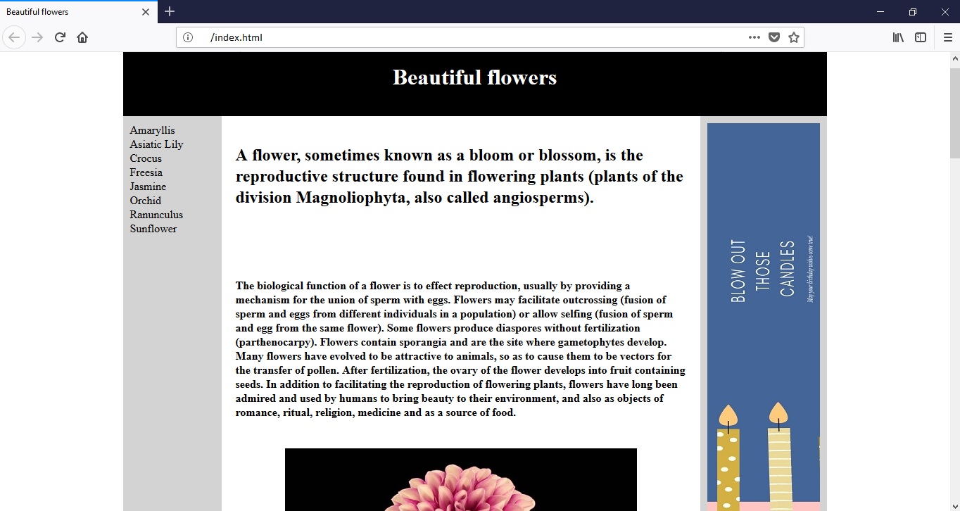 GitHub - DeltaINKDesign/Basic-of-HTML: Projects with HTML