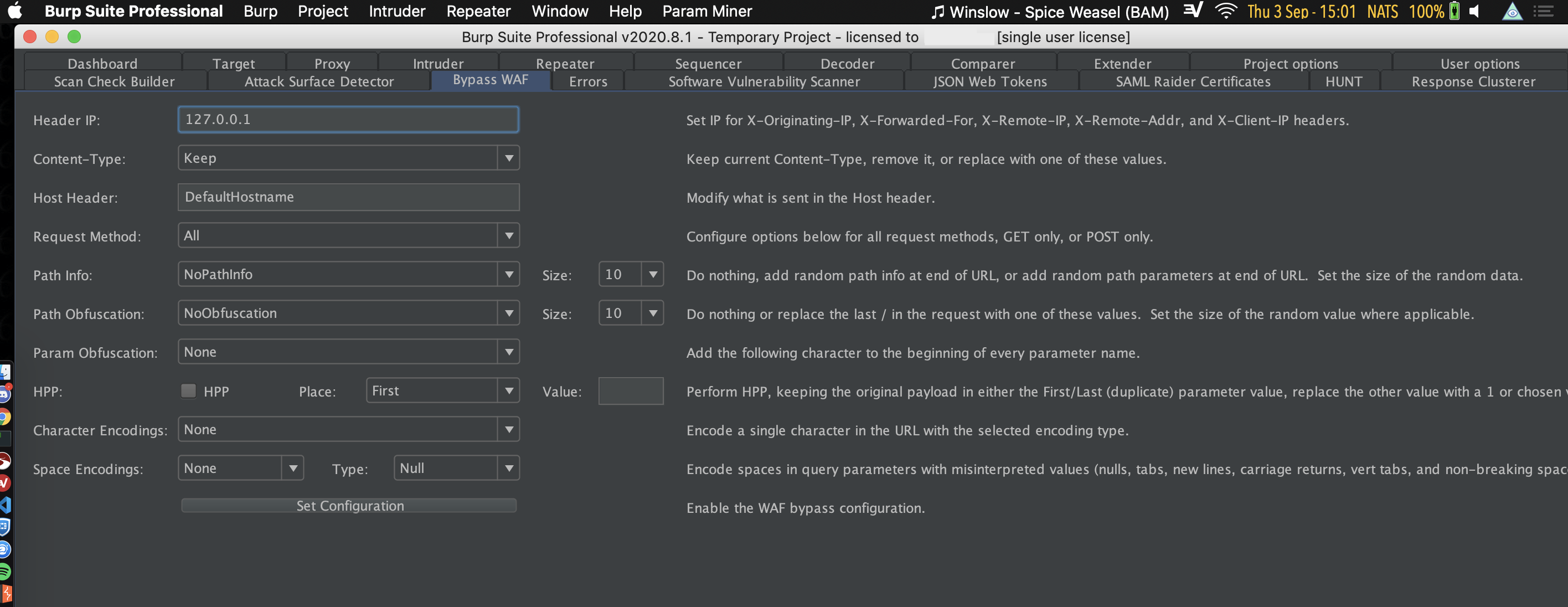 burp-extension-example