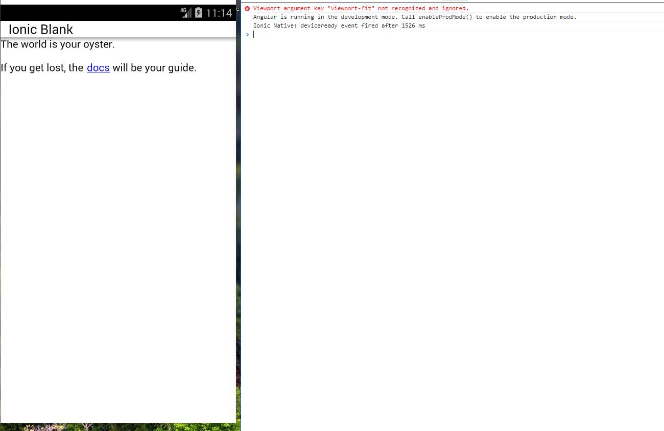 chrome_2018-11-18_12-14-42