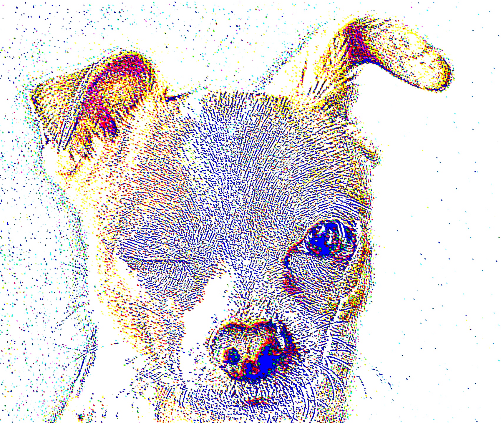 Cartoonize Picture Computer Vision GitHub - Jiapei1001/CV_Realtime-Filtering-Cartoonize: Computer Vision ...