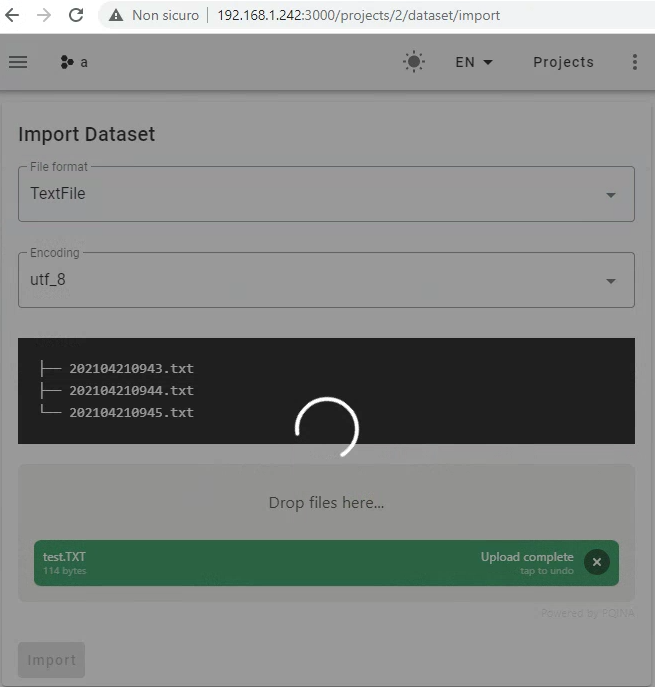 Import dataset celery task received but not executed issue 2063