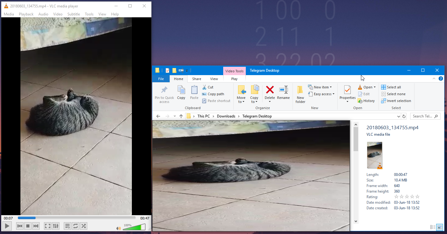 Stretches some vertical videos · Issue #263 · QL-Win/QuickLook · GitHub