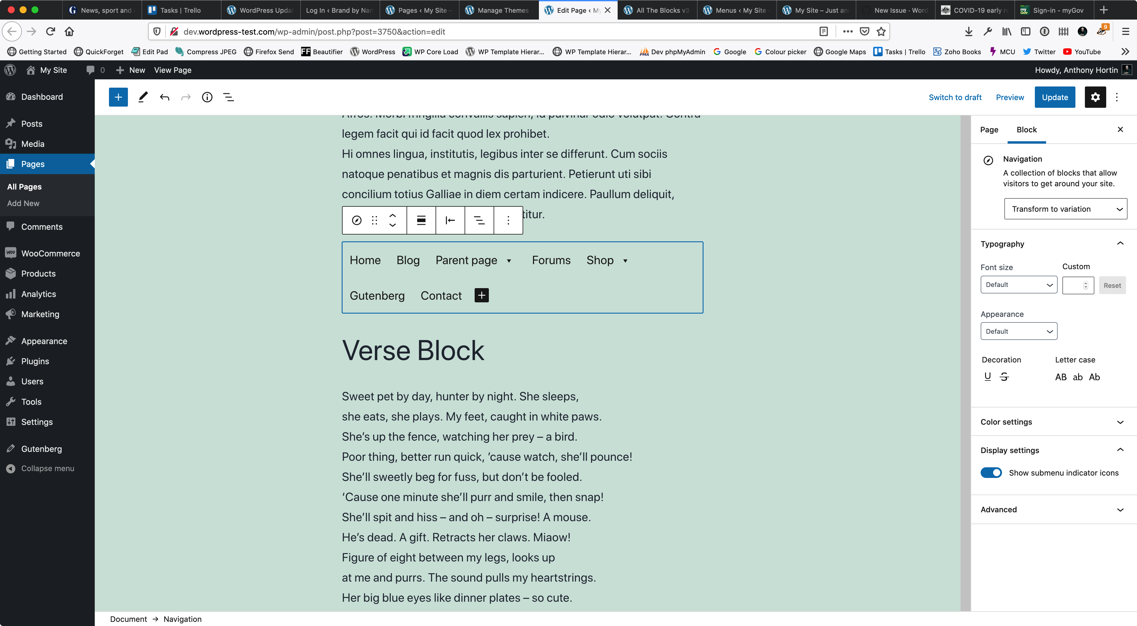 Navigation Block doesn't show in published page · Issue #27259 ...