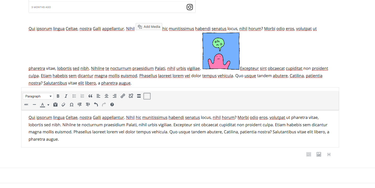 gutenberg_inlineimagesize