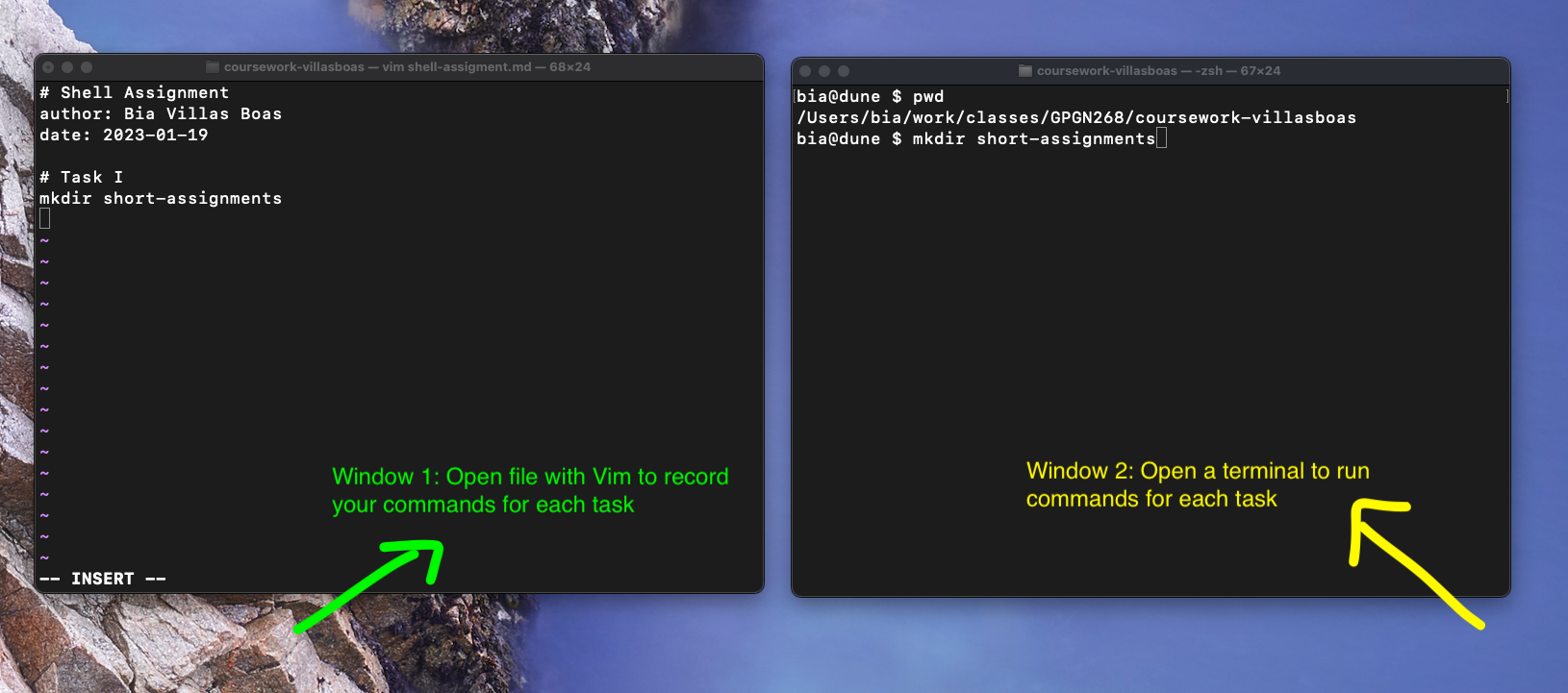 GPGN268-CORE/assignments/SA02-shell-vim.md at main · GPGN268/GPGN268 ...