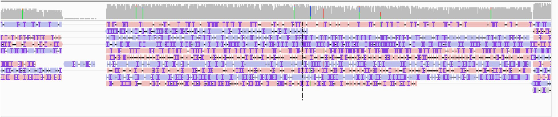 BAM file and inversion · Issue #95 · fritzsedlazeck/Sniffles · GitHub