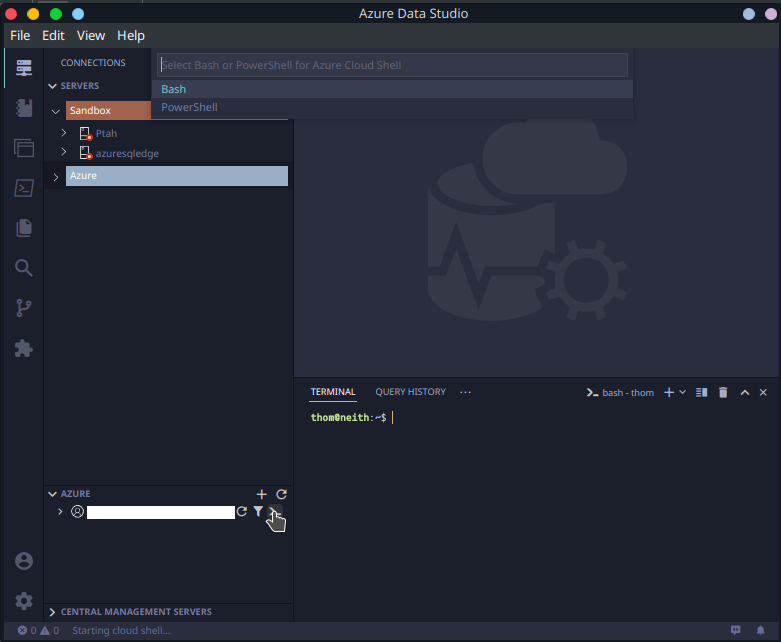Add Azure Cloud Shell to terminal drop down options · Issue #22584 ...