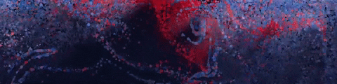 811c3a103073817 5f46921983362