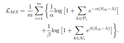 ms_loss_equation