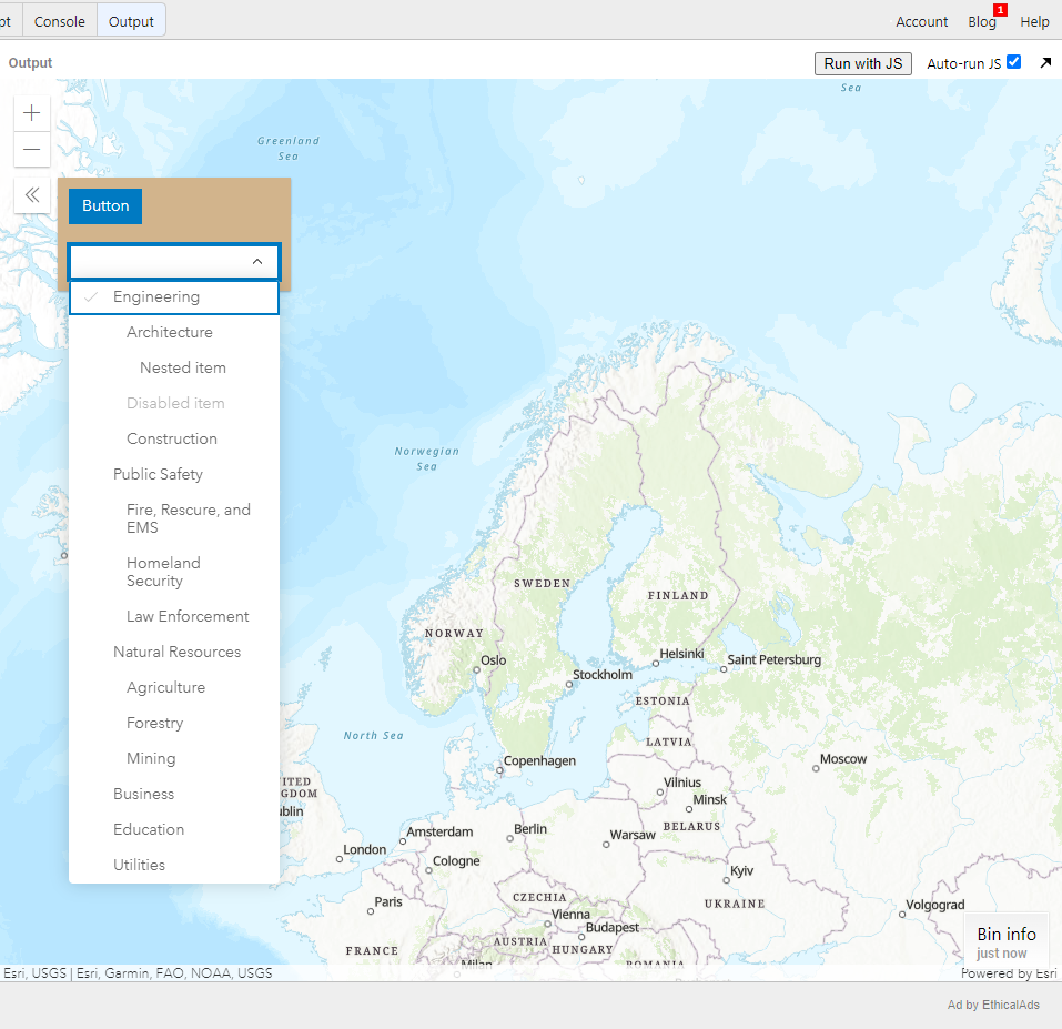 hangs out of the window when used within a JS API