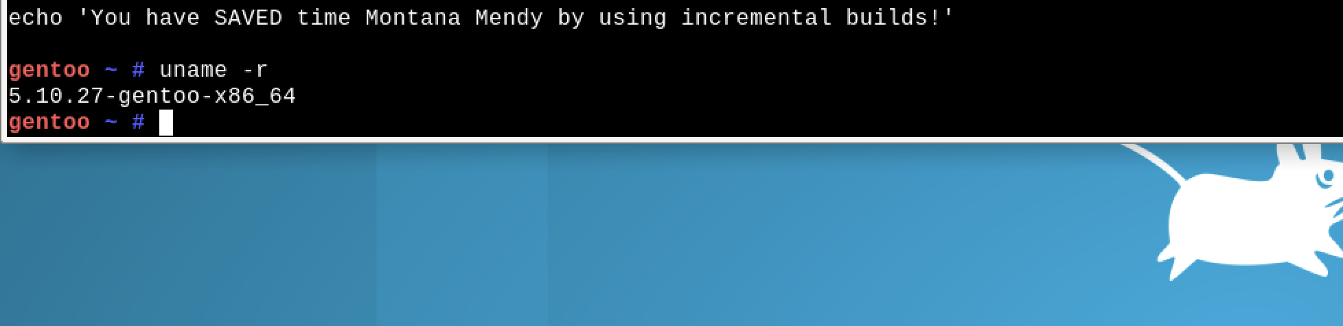 gentoo2