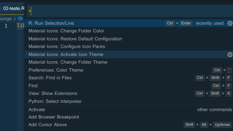 Ctrl + Enter inspects function instead of running on radian · Issue ...
