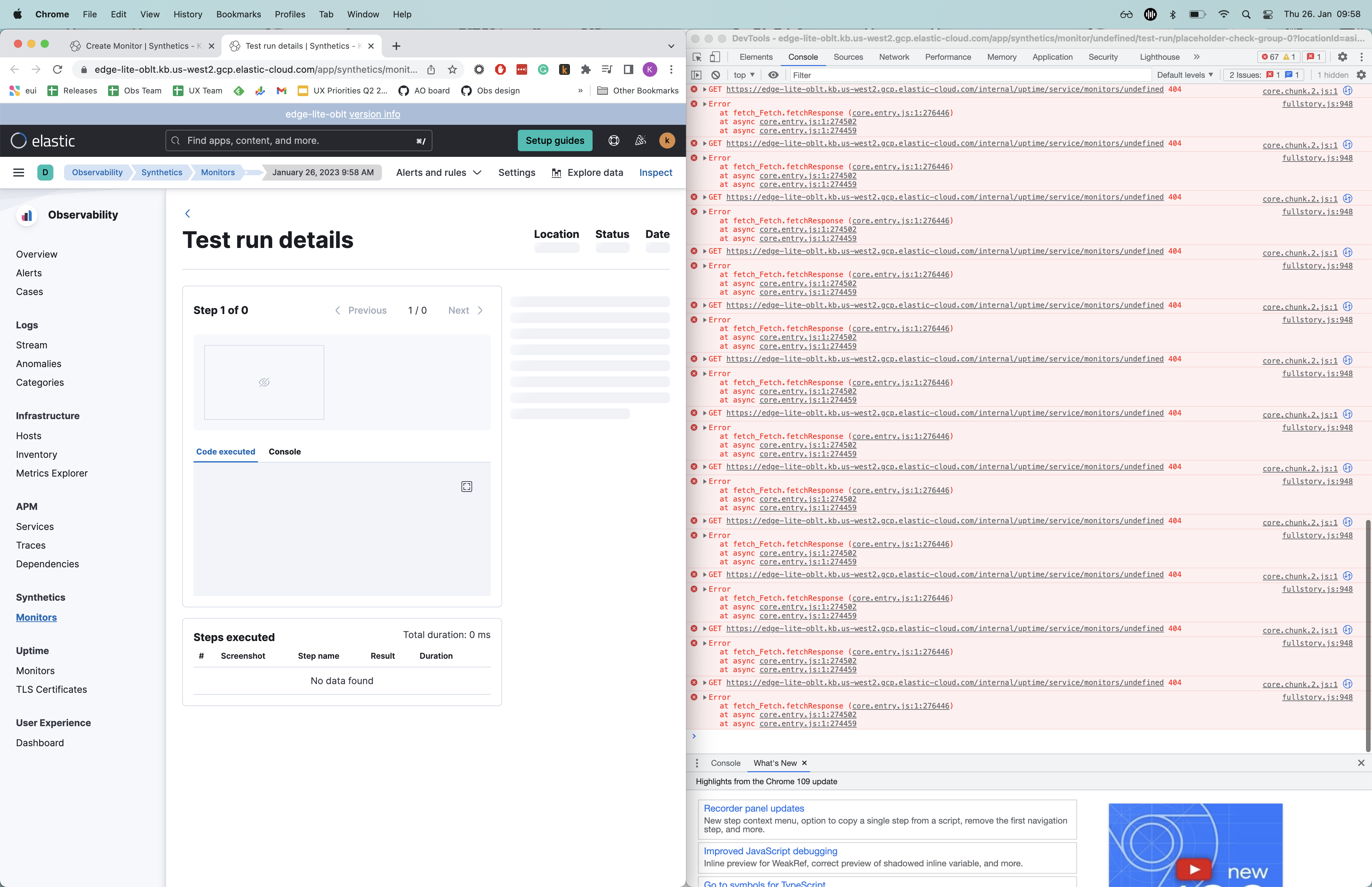 [Synthetics UI] test results view does not load when test run is ...