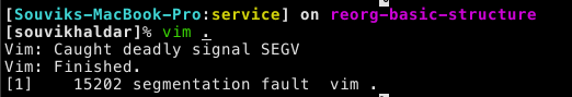 vim crashes in kitty · Issue #3170 · kovidgoyal/kitty · GitHub