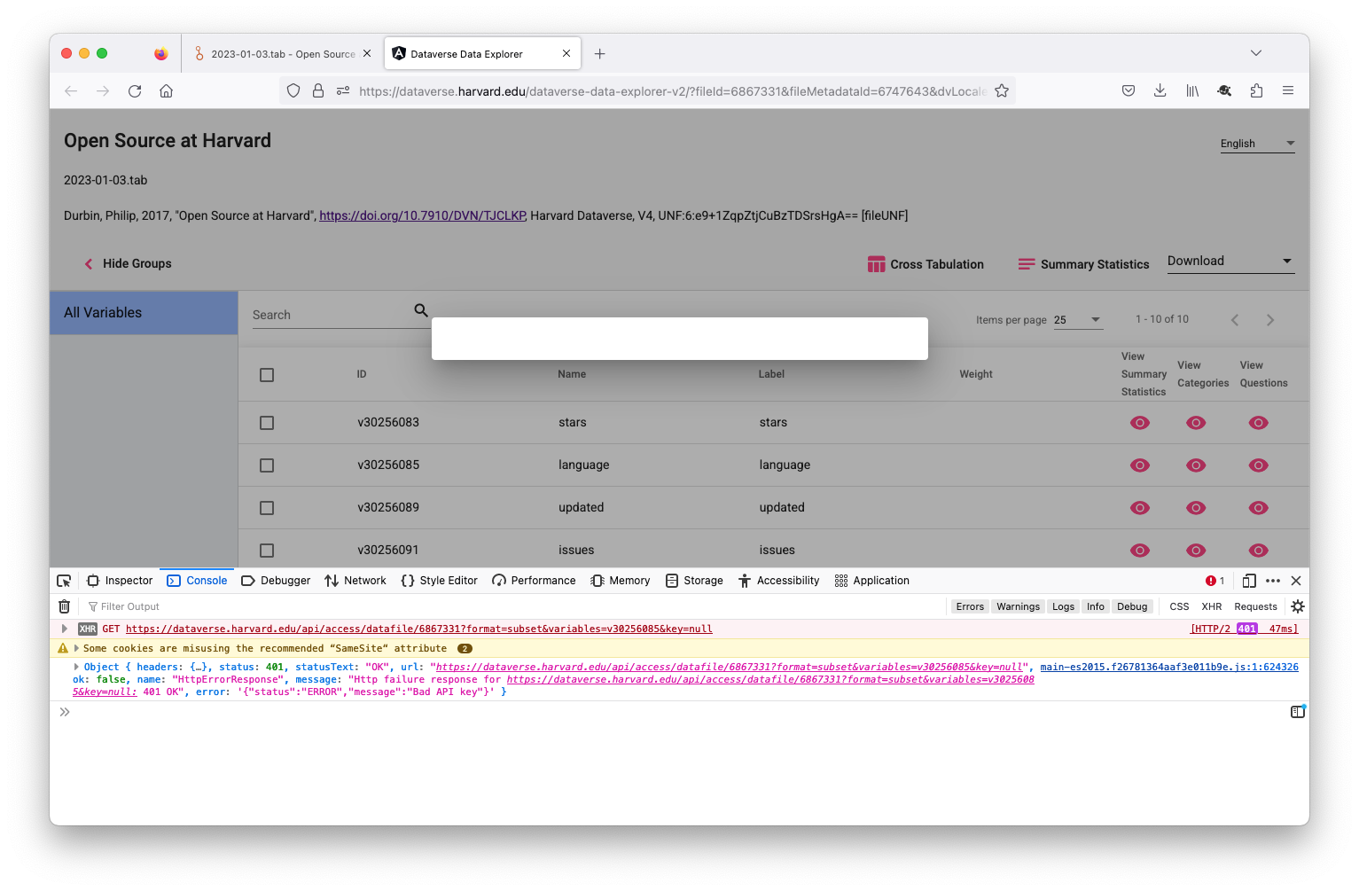 bad API key when clicking 