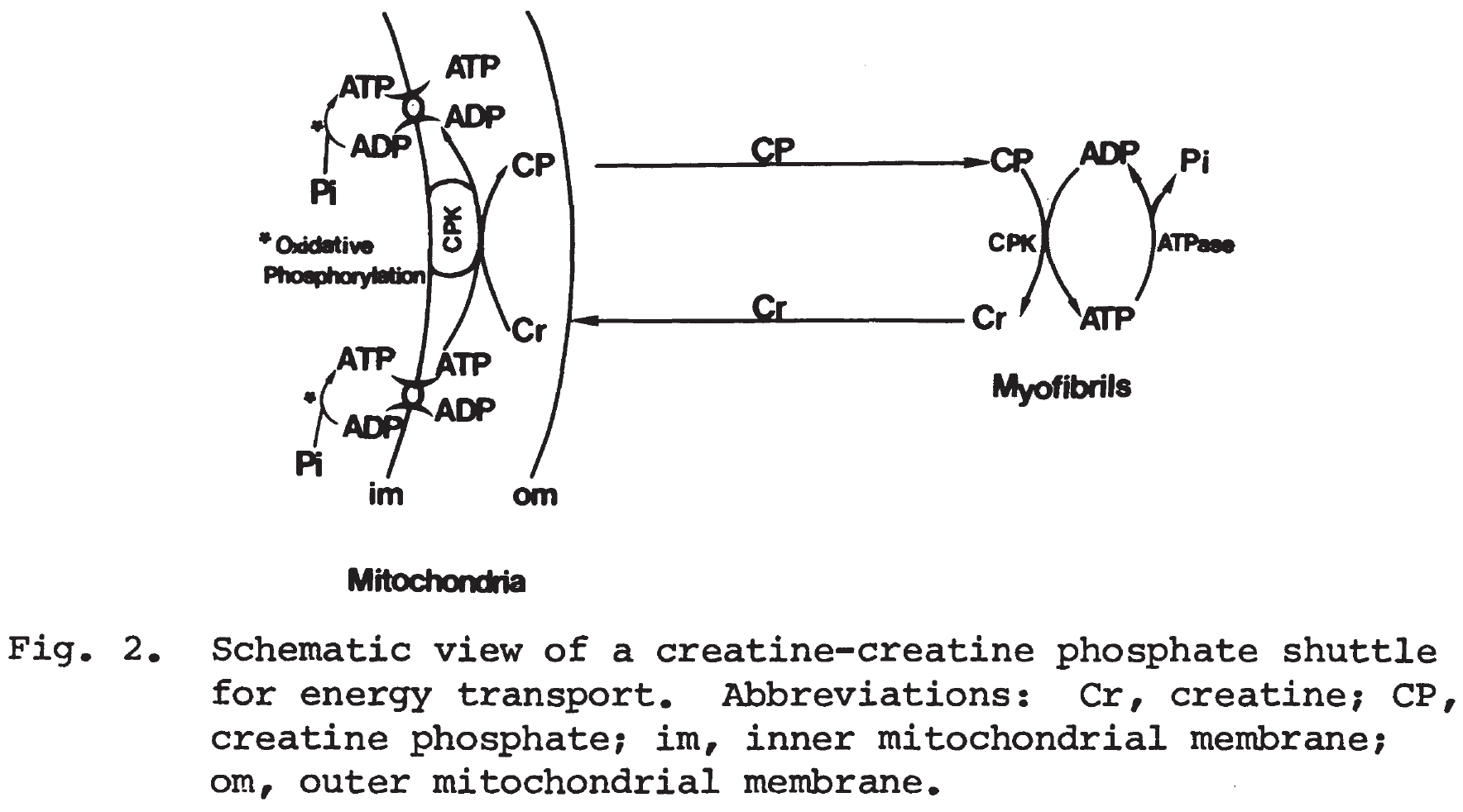 Screen Shot 2022-08-31 at 14 23 08